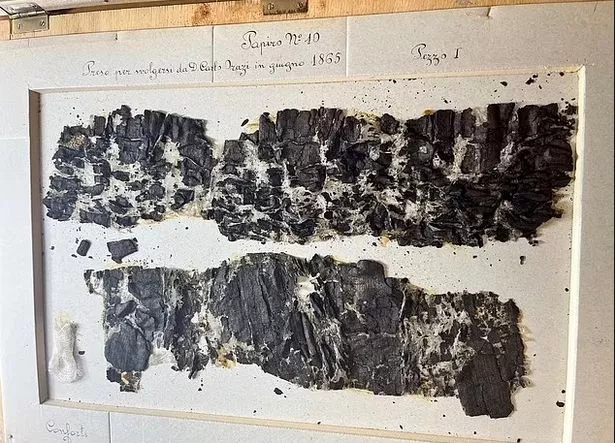 damaged papyri scroll herculaneum