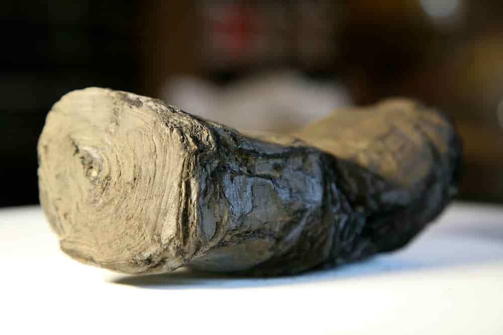One of two Herculaneum scrolls from L’Institut de France, source by the University of Kentucky, Digital Restoration Initiative team
