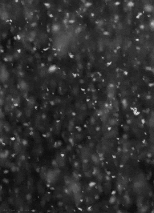 A GIF of raining ash