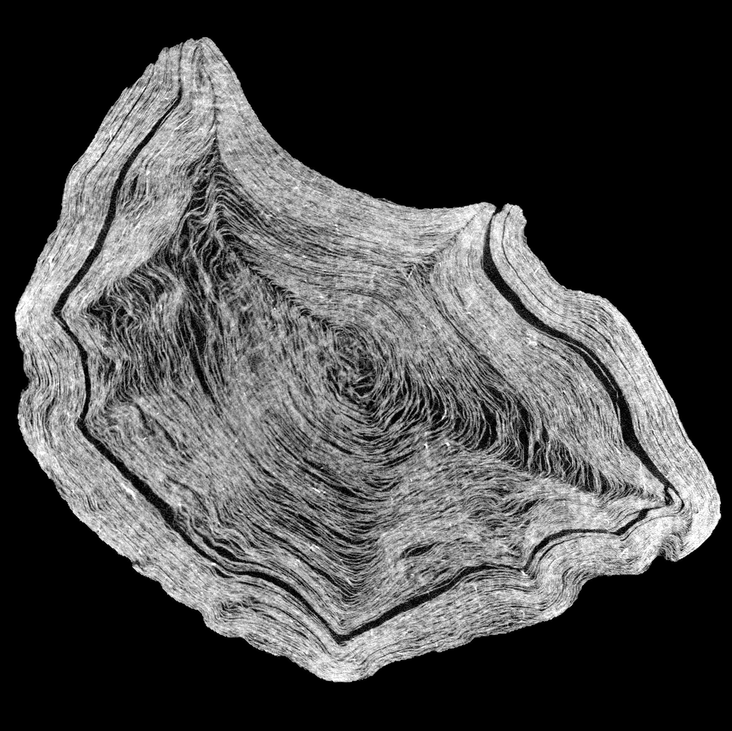 Cross-section slices of Herculaneon scroll